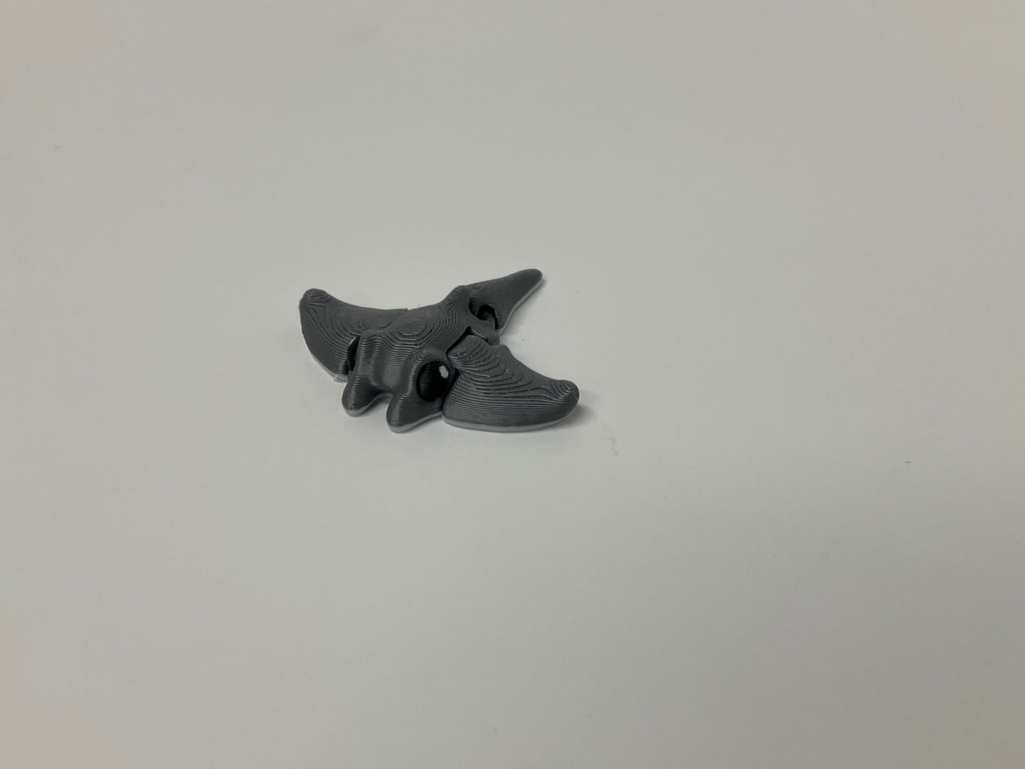 Manta Ray Mini