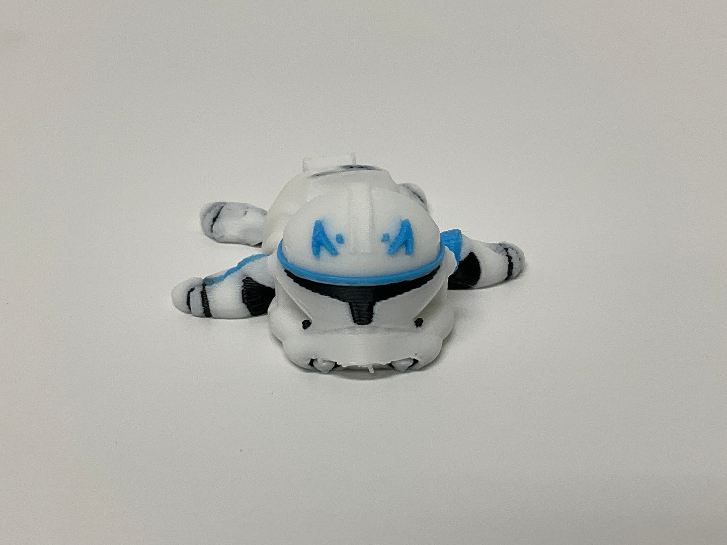 Captain Rex Turtle