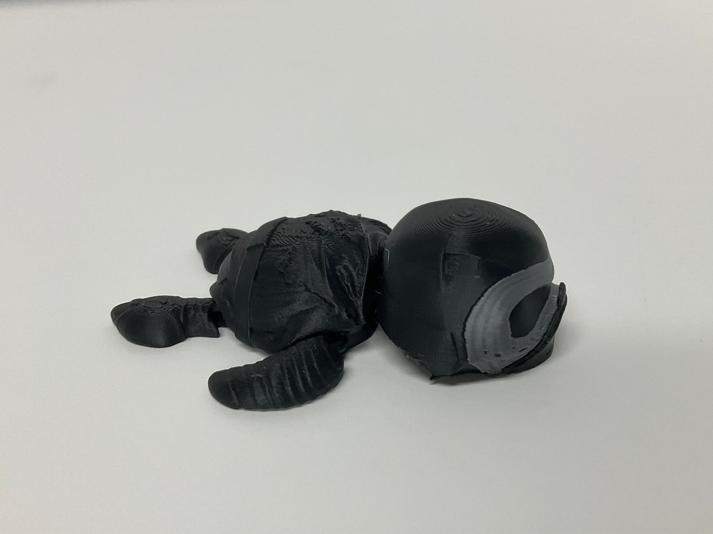 Kylo ren Turtle