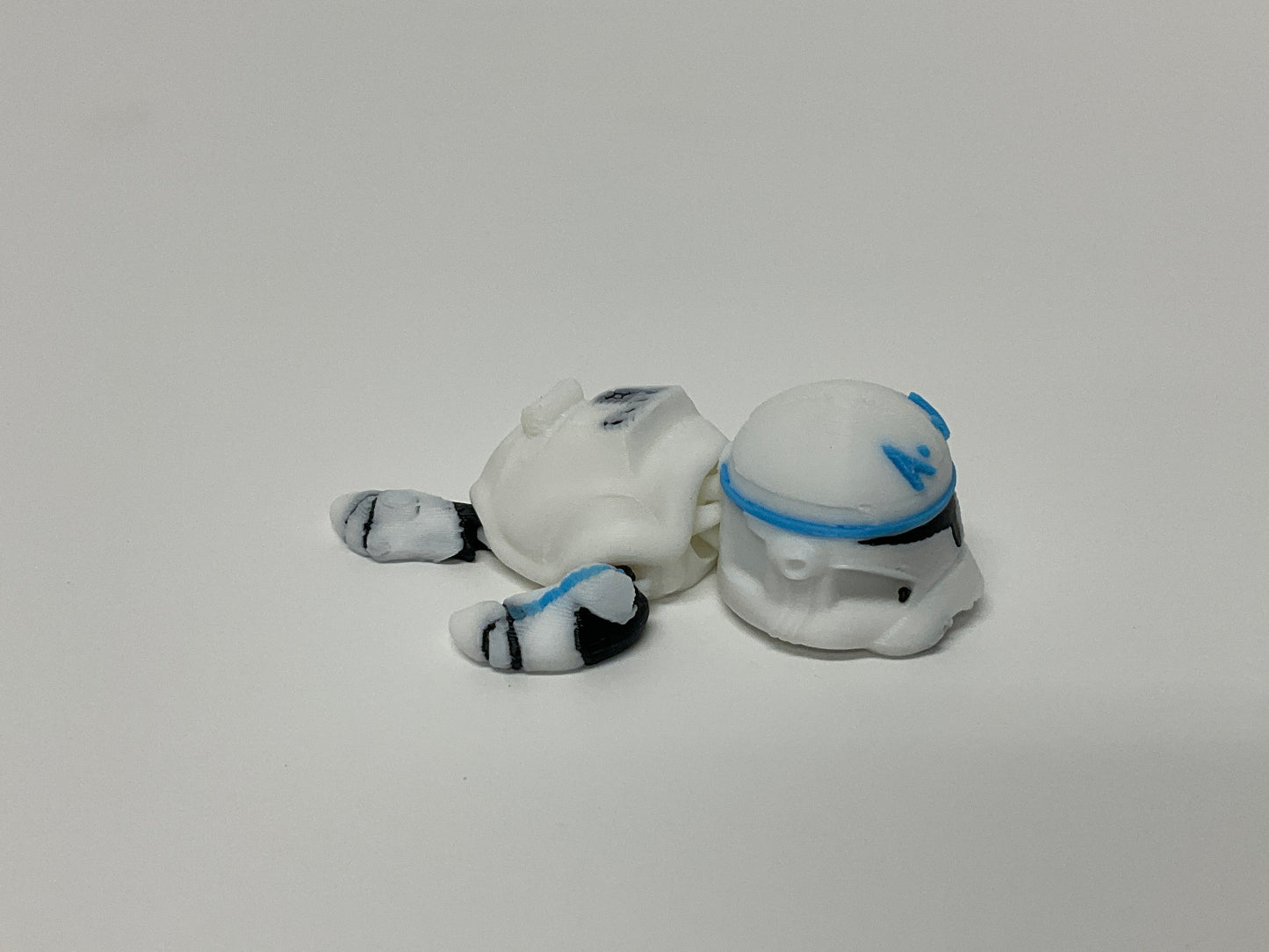 Captain Rex Turtle