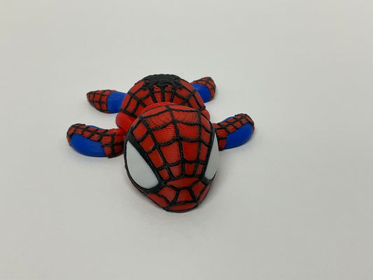 spider man turtle