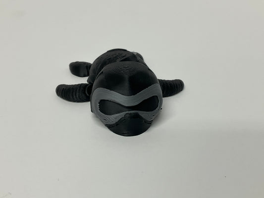 Kylo ren Turtle