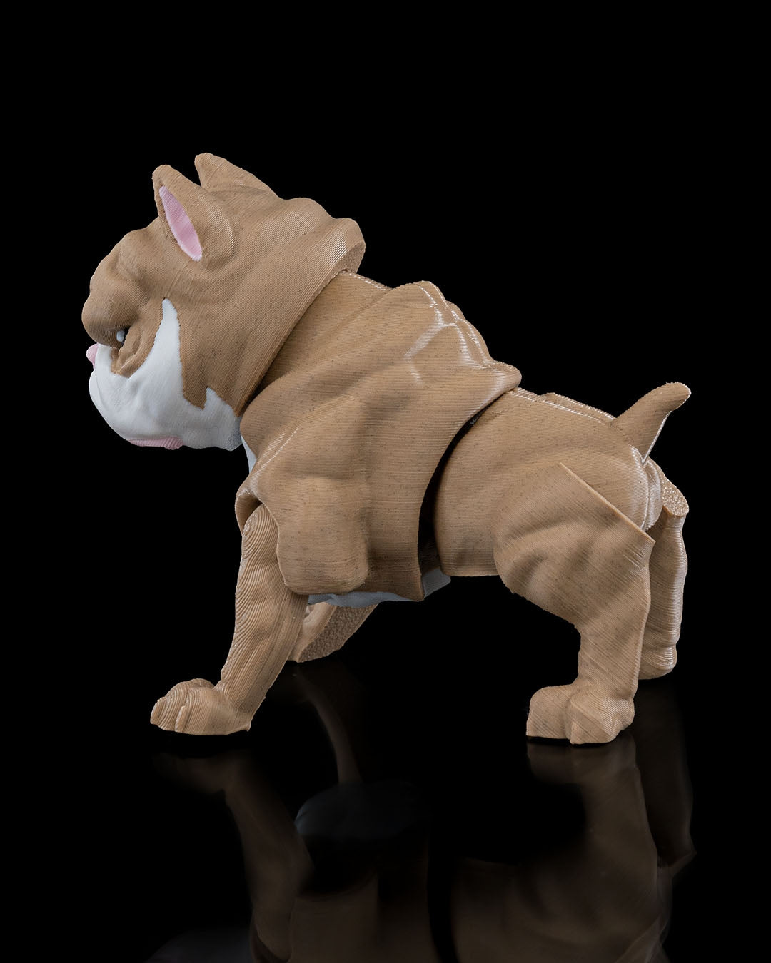 American Bully