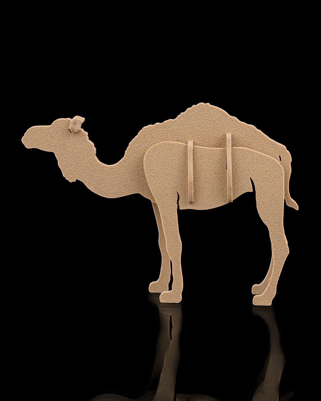 Camel Kit Card