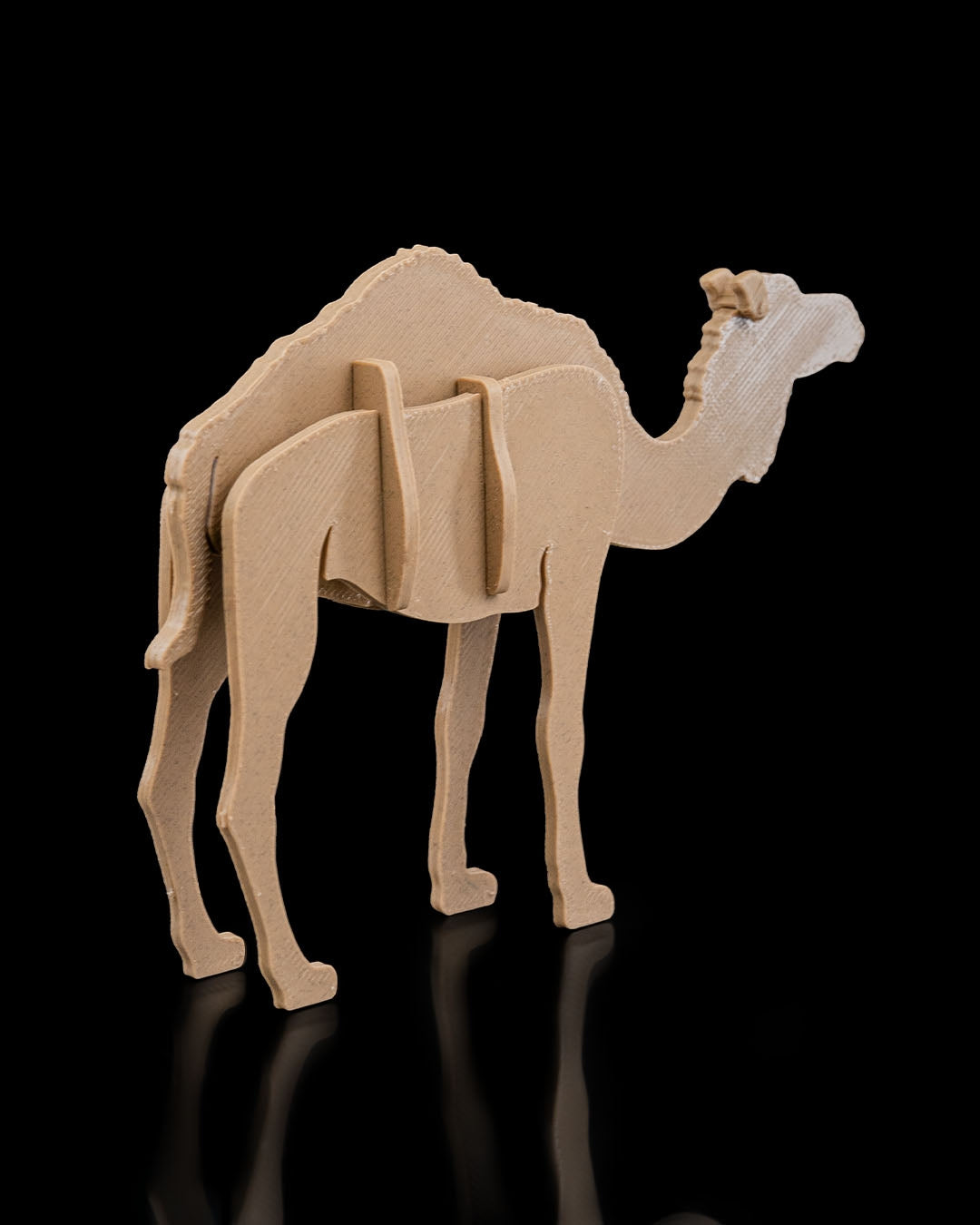 Camel Kit Card