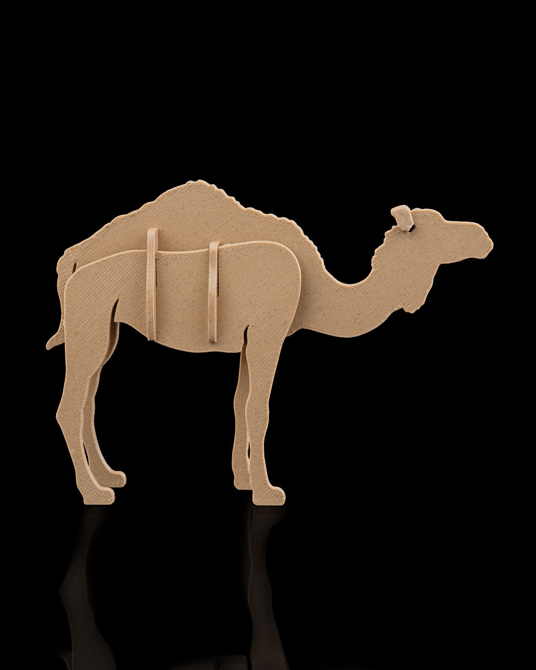 Camel Kit Card