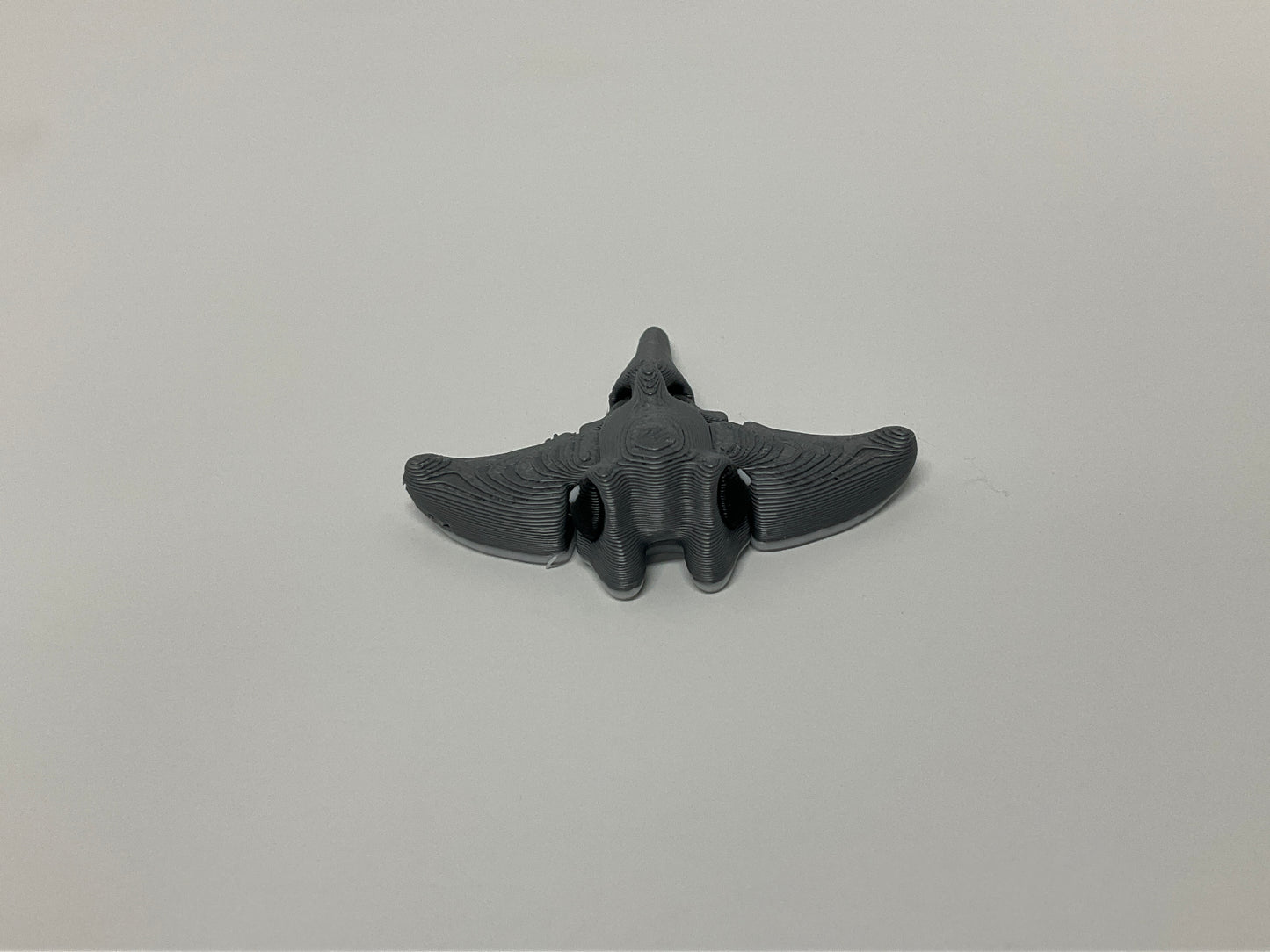 Manta Ray Mini