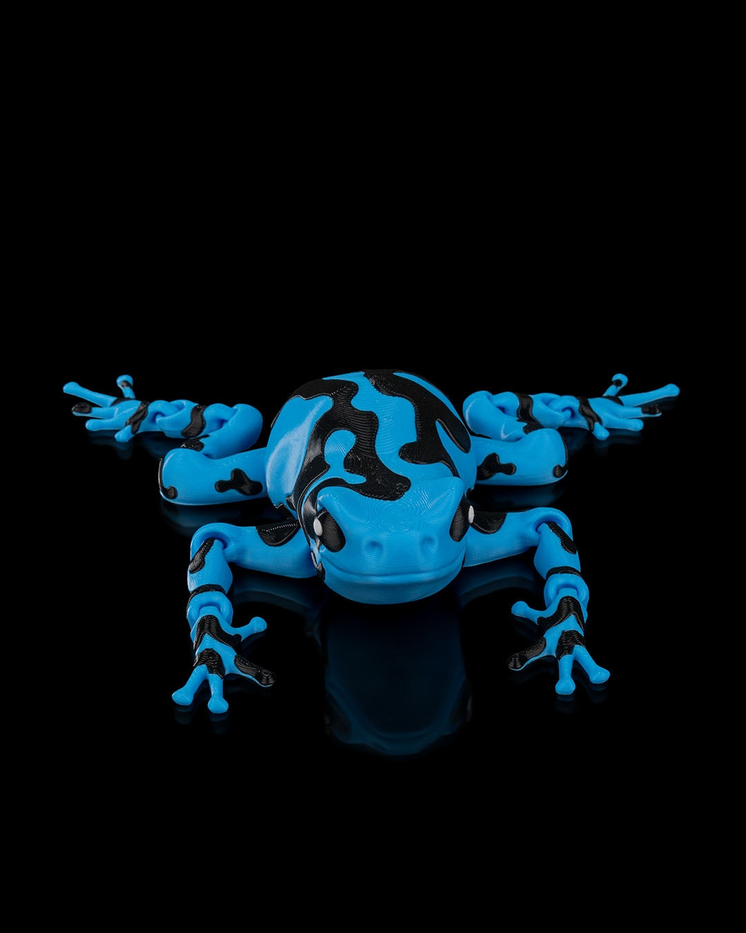 Darcy the poison Dart Frog