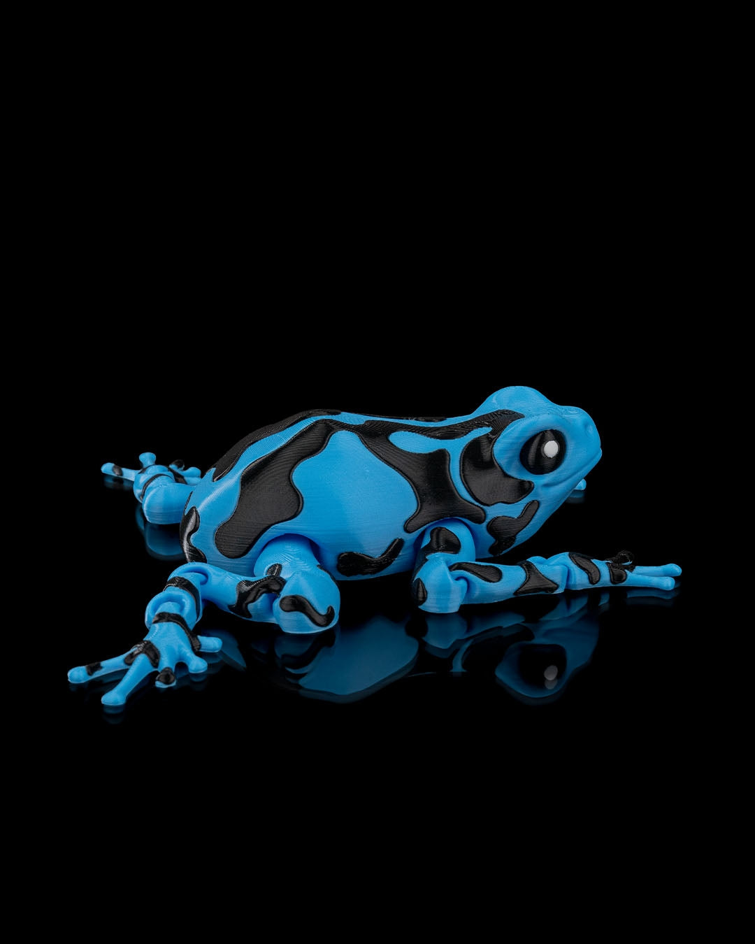 Darcy the poison Dart Frog