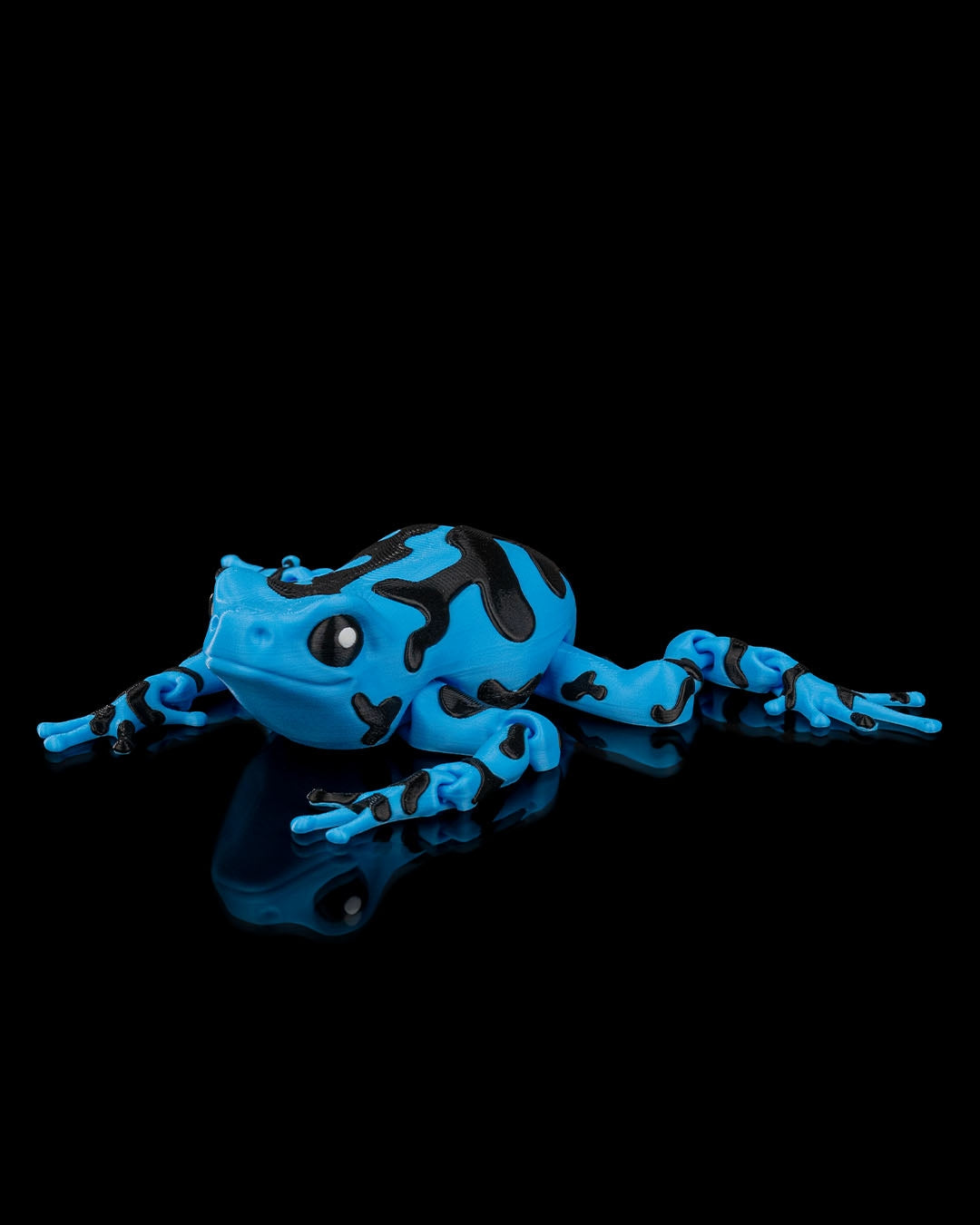 Darcy the poison Dart Frog