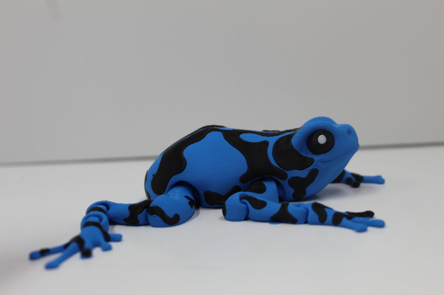 🐸 Articulated Frog Collection