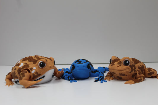 🐸 Articulated Frog Collection