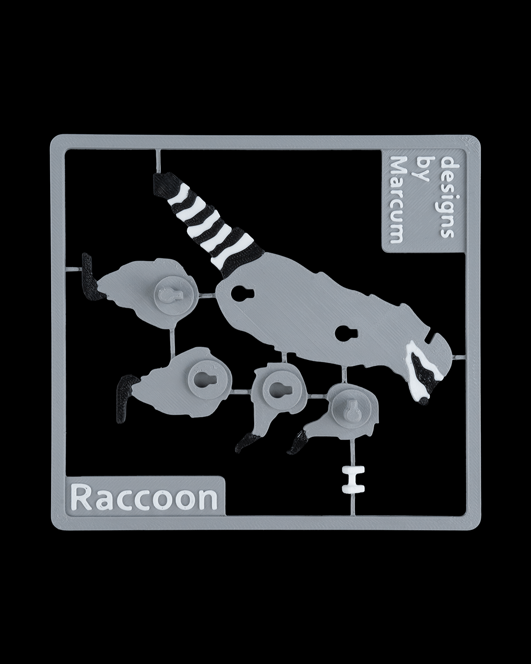 Raccoon kit Card