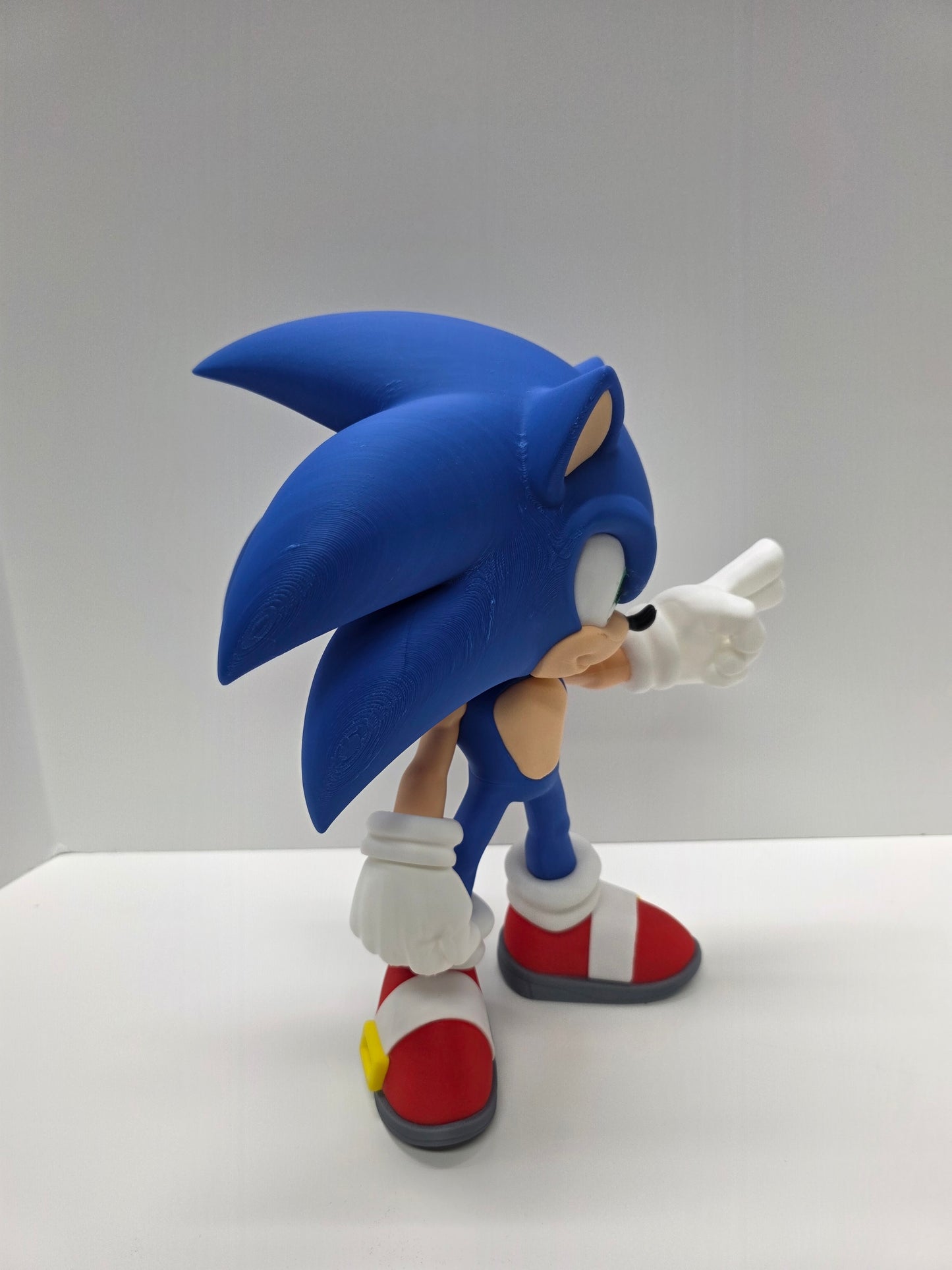 Sonic the hedgehog
