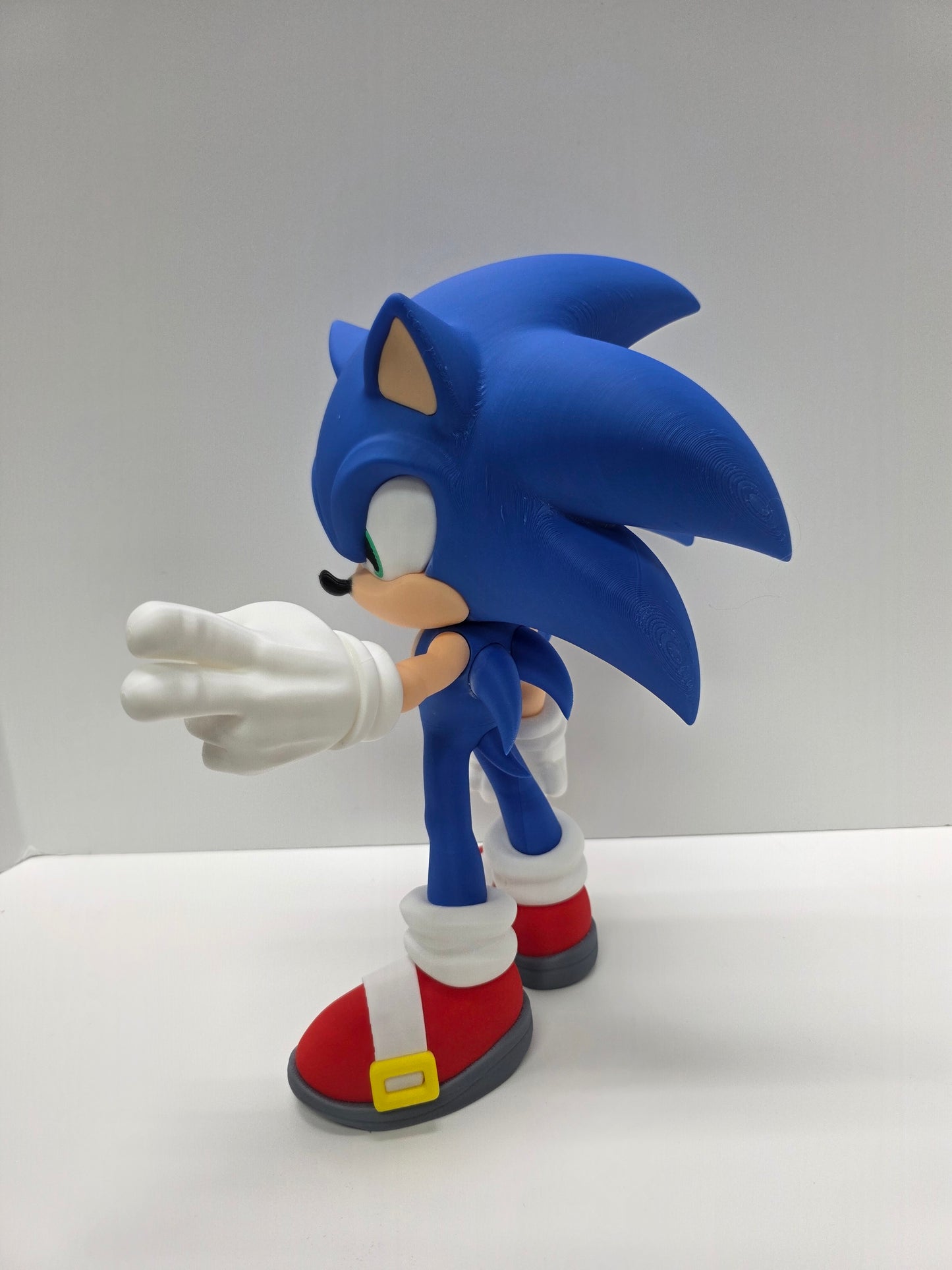 Sonic the hedgehog