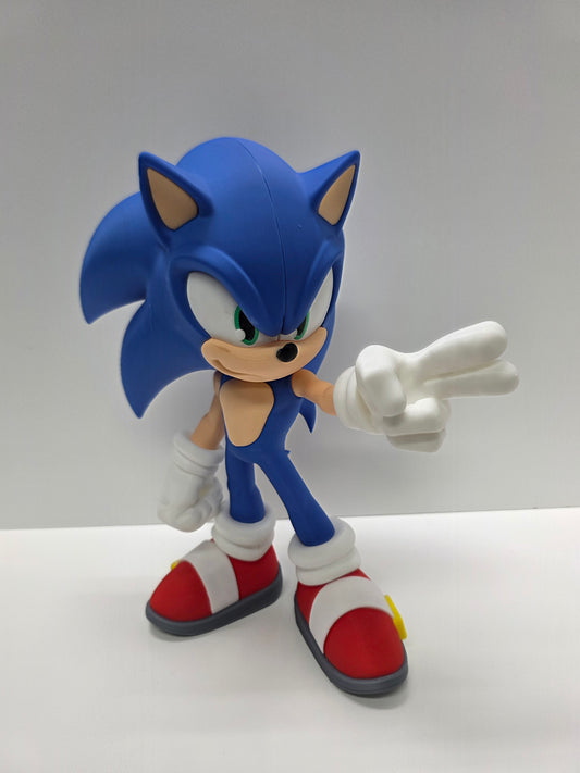 Sonic the hedgehog